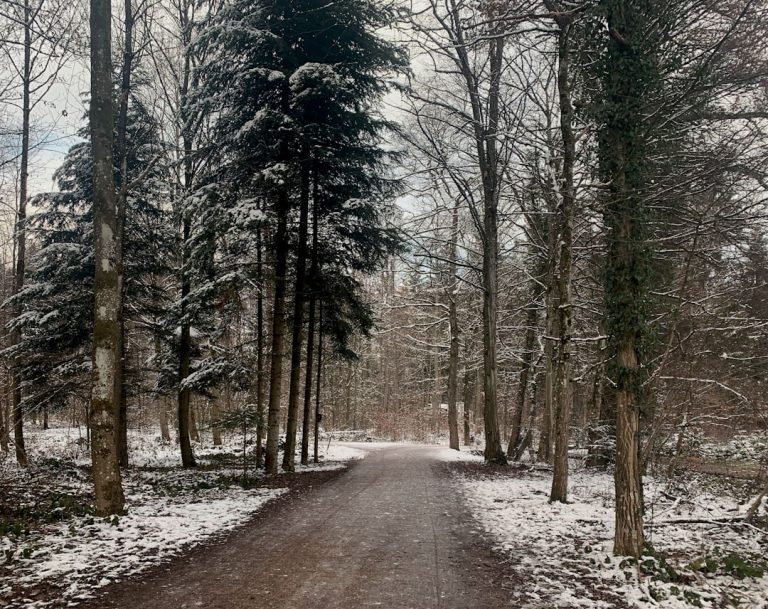 Bieganie zimą – jak się ubrać i nie zmarznąć