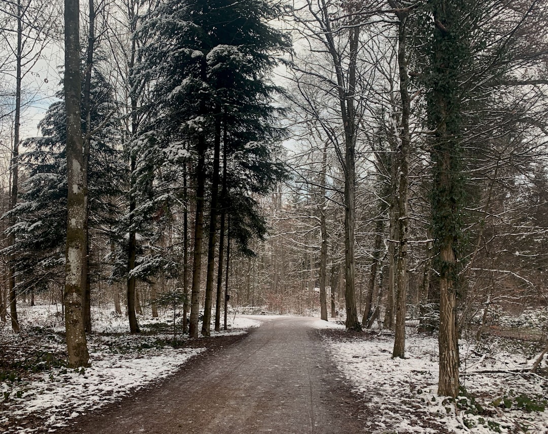 Bieganie zimą – jak się ubrać i nie zmarznąć