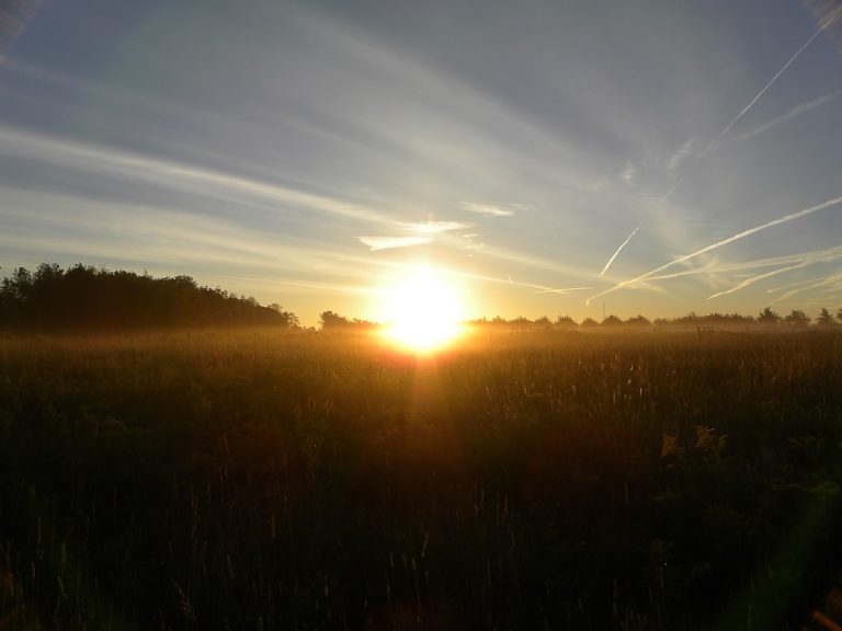 Poranny czy wieczorny trening – kiedy najlepiej biegać?
