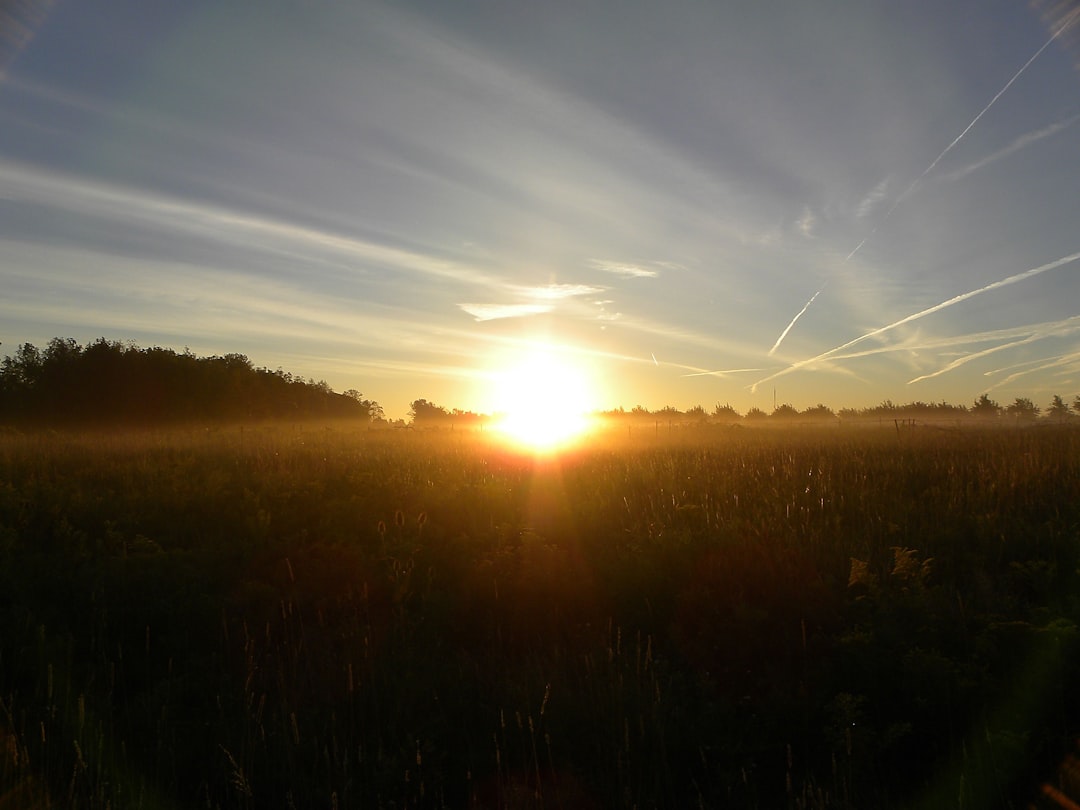Poranny czy wieczorny trening – kiedy najlepiej biegać?